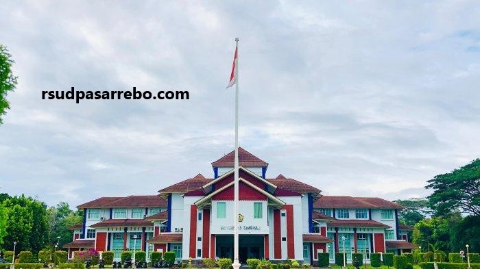 Dafatr Universitas Terbaik Di Kota Bengkulu 2023