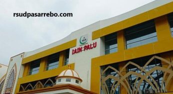 Daftar Universitas Terbaik Di Kota Palu 2023